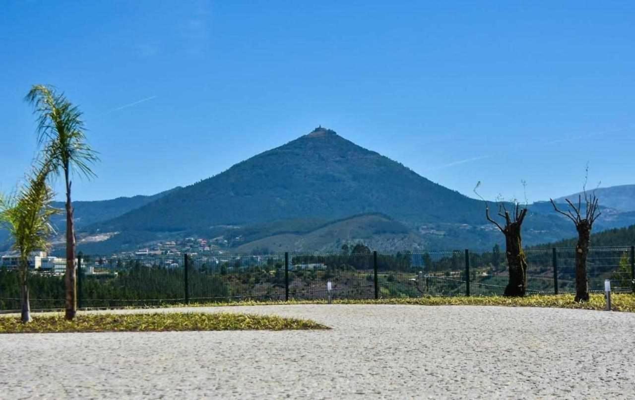Casa Dos Mirtilos Draper T6 Celorico De Basto Eksteriør bilde